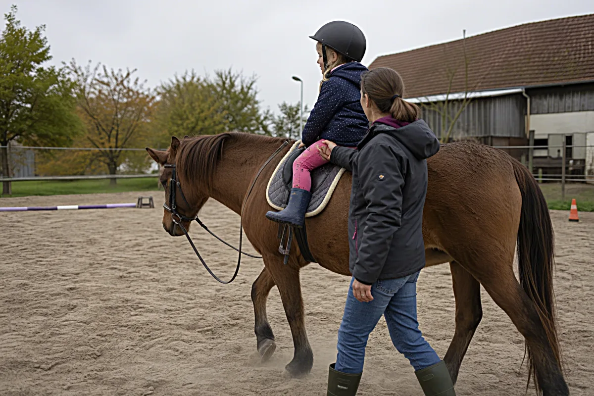 Ihr Weg mit mir: Der detaillierte Ablauf meiner Reittherapie