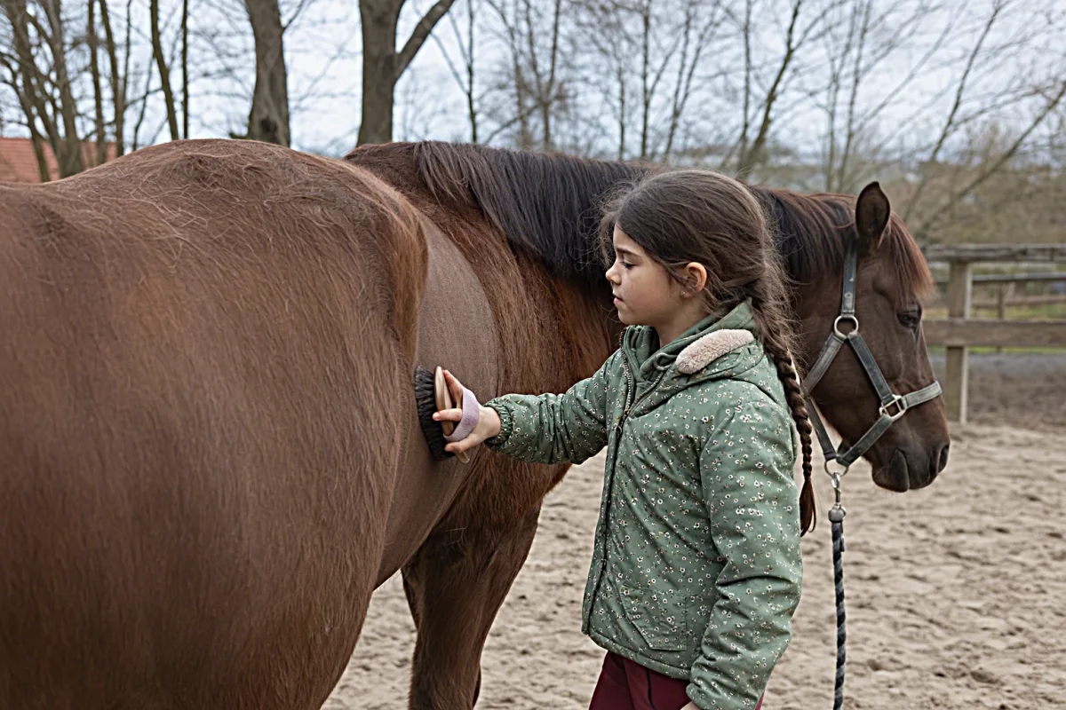 Reittherapie bei ADHS: Möglichkeiten und Grenzen
