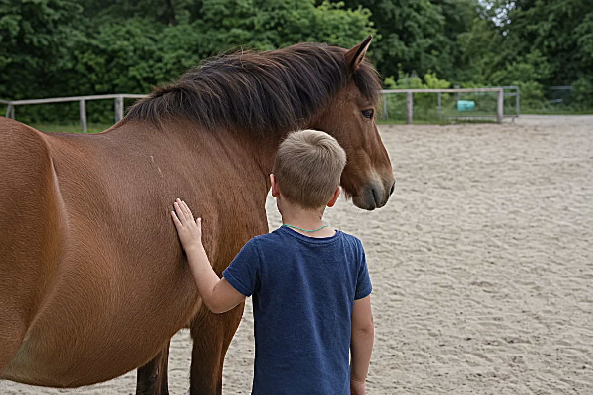 Reittherapie bei Autismus: Erfahrungen und Vorteile