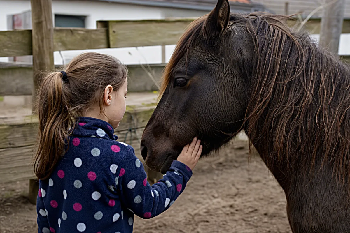 Kind steht ruhig neben einem Pferd und legt die Hand auf seine Schulter