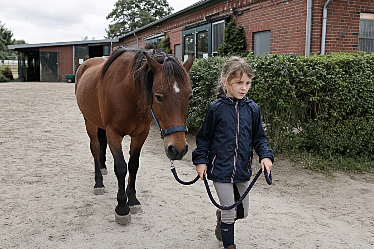 Reittherapie und Reitunterricht nahe Brüggen