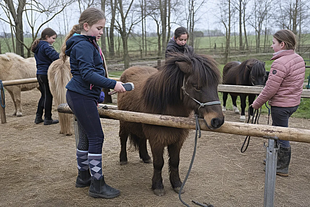 Die Oster-Rallye bei Reittherapie Tanja Wilms