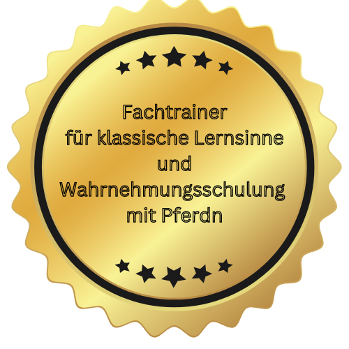 Lernsinne