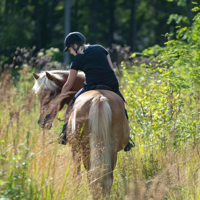 Tanja Wilms zu Pferd in der Natur rund um den Hof
